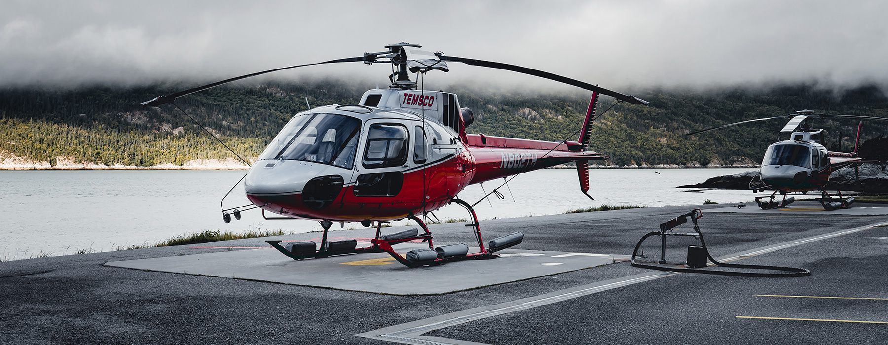 Observation and Survey